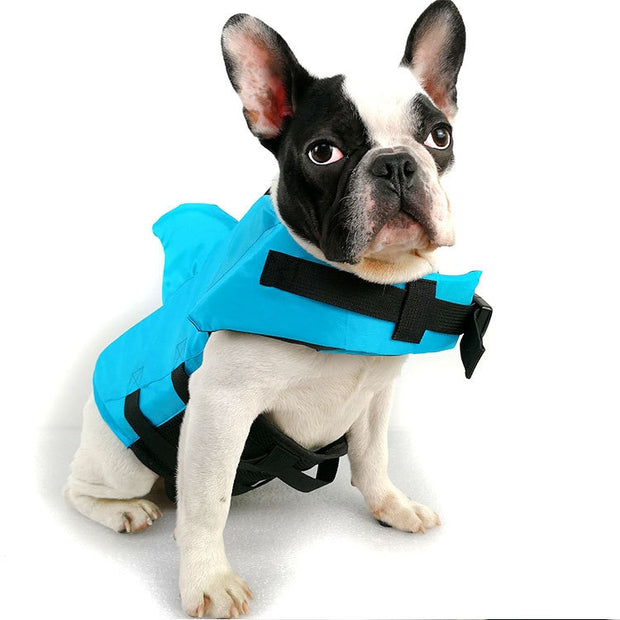 FloatBuddy - Ultimate Dog Life Jacket For Water Adventures