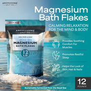 Magnesium Flakes from the Dead Sea, 12 LB Resealable Pack - Muscle Relaxing Magnesium Chloride Bath Salts Soak for Headaches, Stress & Leg Discomfort. (Packaging May Vary)