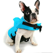 FloatBuddy - Ultimate Dog Life Jacket For Water Adventures