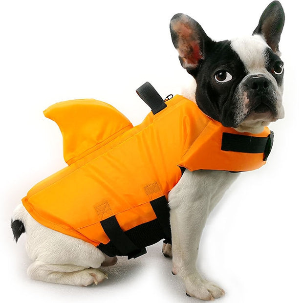 FloatBuddy - Ultimate Dog Life Jacket For Water Adventures