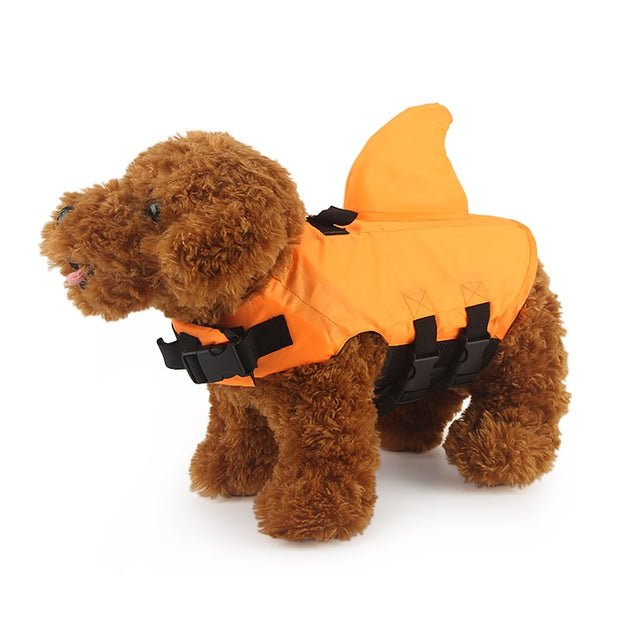 FloatBuddy - Ultimate Dog Life Jacket For Water Adventures