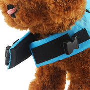 FloatBuddy - Ultimate Dog Life Jacket For Water Adventures